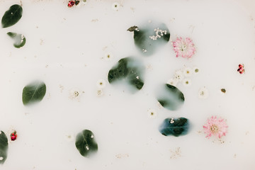 Minimal Romantic Styled Stock 