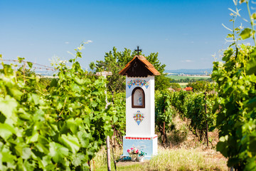 God's torture with vineyard near Nechory, Czech Republic