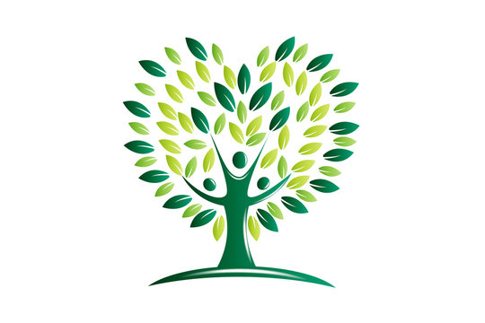 Green tree health and growth vector