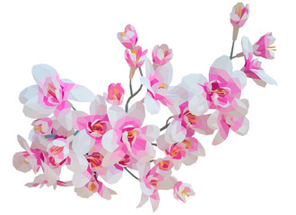 Low poly illustration pile of orchid flowers