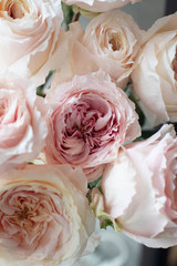 peony Bush rose, rose, flower, pink, bouquet, wedding, white, roses, beauty, flowers, floral, nature, love, blossom, beautiful, romance, petal, romantic, bunch, petals, bloom, gift, holiday, flora, is