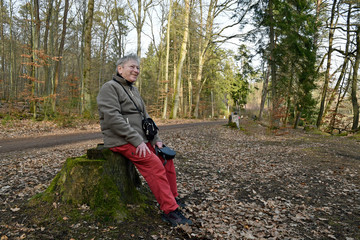 seniorin sitzt im wald auf einem baumstumpf