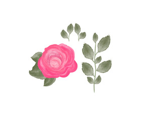 Watercolor rose and leaves