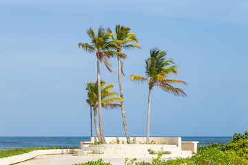 Park on the tropical resort