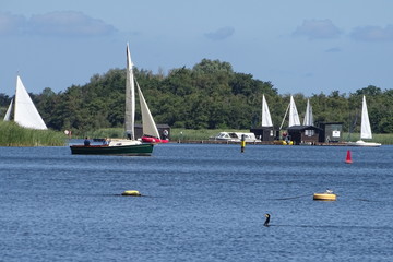 Barton Broad