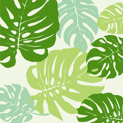 Green Monstera tropical leaf Pattern. Vector