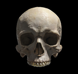 Obraz premium human skull on a black background