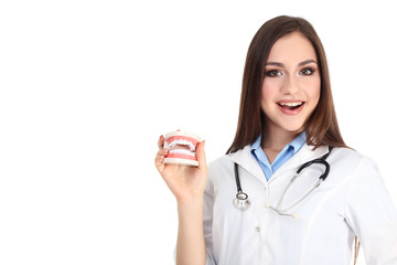 Young doctor holding teeth model on white background