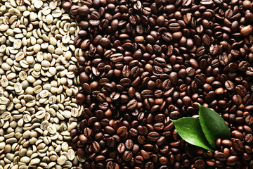 Background of brown and green coffee beans with leafs