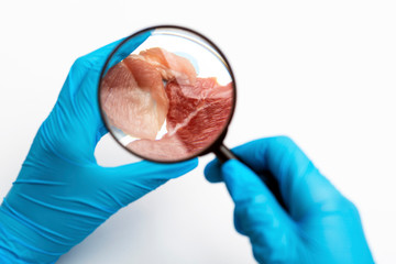 Scientist analyzes synthetic meat sample at laboratory using a magnifying glass