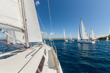 Sailing regatta yachts competition