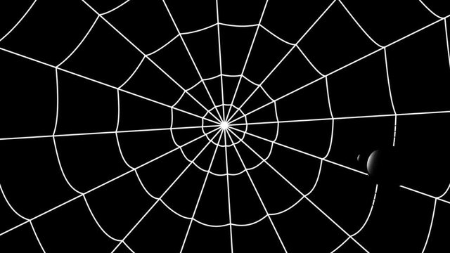 concentric cobwebs on a black background