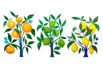 Watercolor set of citrus trees:lemon, lime and orange
