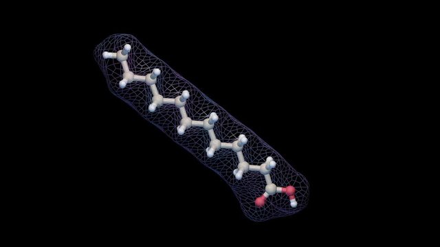 Sodium Laurate molecule 3d animation. Ball and stick representation with transparent wireframe surface. Seamless looping 