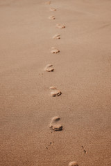 Fototapeta na wymiar nature poster. sand beach and track of foot