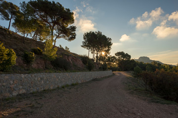 Sunrise in the mountains of the palms desert