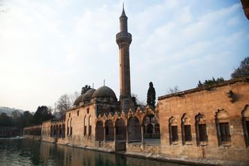 Fish Lake (Balikli Gol) İbrahim's pool - Sanliurfa, Turkey © bulentumut