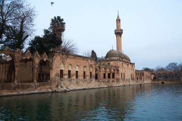 Fototapeta na wymiar Fish Lake (Balikli Gol) İbrahim's pool - Sanliurfa, Turkey