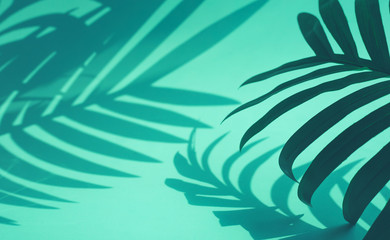 Fototapeta na wymiar Selective focus of coconut and palm leaf with shadow on colorful . background.Tropical and summer,holiday concepts