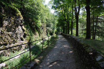 chemin dans le parc du pilat, loire