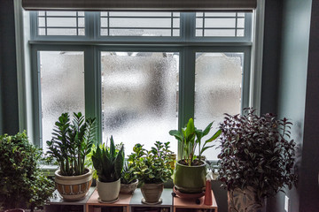 Frost and rain neatly covered the windows with ice