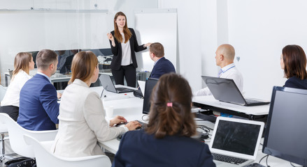 Smiling businesswoman presenting new business strategy to partners