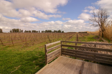 Maguelone, France