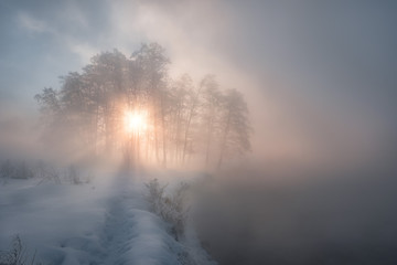 The sun cut through the woods and mist at Pekhorka