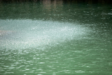 Fish Lake (Balikli Gol) İbrahim's pool - Sanliurfa, Turkey © bulentumut