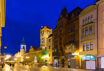 Fototapeta na wymiar Torun Town Hall and statue of Copernicus