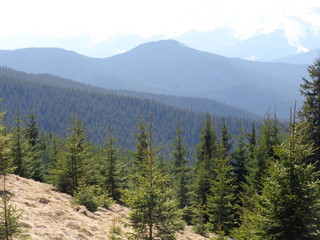panoramic view of the mountains