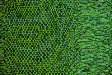  snake skin pattern texture background