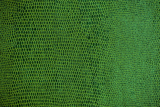  snake skin pattern texture background