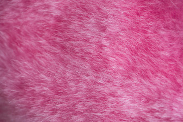 Texture of shaggy fur.