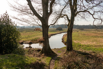 Beautiful landscape in the province Drenthe the Netherlands nearby Zeegse in the nature reserve Drentse AA