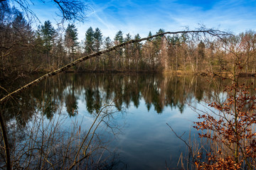 little forest lake nearby the village Vilstersen, province Overijssel the Netherlands