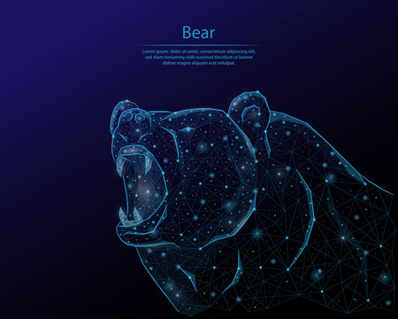 Abstract image of a bear in the form of the constellation. Consisting of points and lines. Low poly vector background.