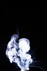 Vape smoke clouds isolated on black background. Hot vape liquid splash in vape coil. Nice aromatic...