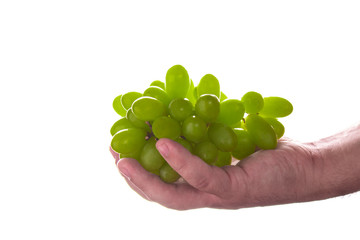 Man hand holding a bunch of green grapes, Isolated on white background.