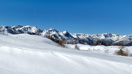 Fototapeta na wymiar panorama innevato delle alpi piemontesi