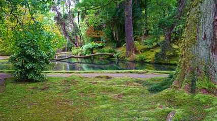 Fototapete bei efototapeten.de bestellen   