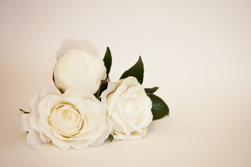 Beautiful artificial white roses in pastel background. Minimalistic Mother's Day celebration with copy space.