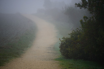 path and lonely dirt road on a morning with intense fog and cold leaves the Botanical Garden of Olárizu, Vitoria-Gasteiz (Alava) Basque Country, Spain