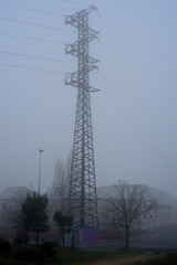 tower of light among pine trees in a morning with intense fog in the Botanical Garden of Ol&Dagger;rizu, Vitoria-Gasteiz (Alava) Basque Country, Spain