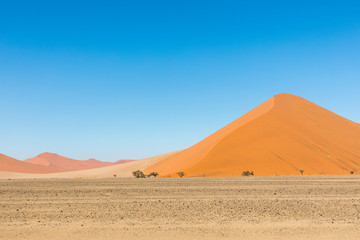 Fototapeta na wymiar African landscape, beautiful red sand dunes and nature of Namib desert, Sossusvlei, Namibia, South Africa