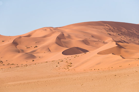 African landscape, beautiful red sand dunes and nature of Namib desert, Sossusvlei, Namibia, South Africa