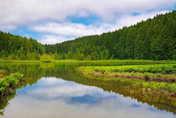 Small lake called Lagoa do Canario in Portuguese, surrounded by green forest, located on Sao Miguel island of Azores, Portugal.