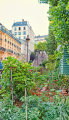 Community Garden in Paris