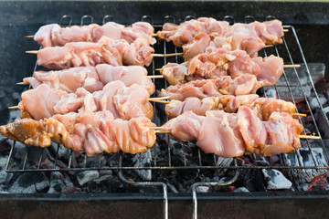 Turkey kebab on skewers is cooked on charcoal in the grill