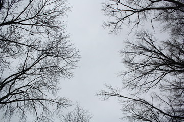 Obraz premium symmetry 